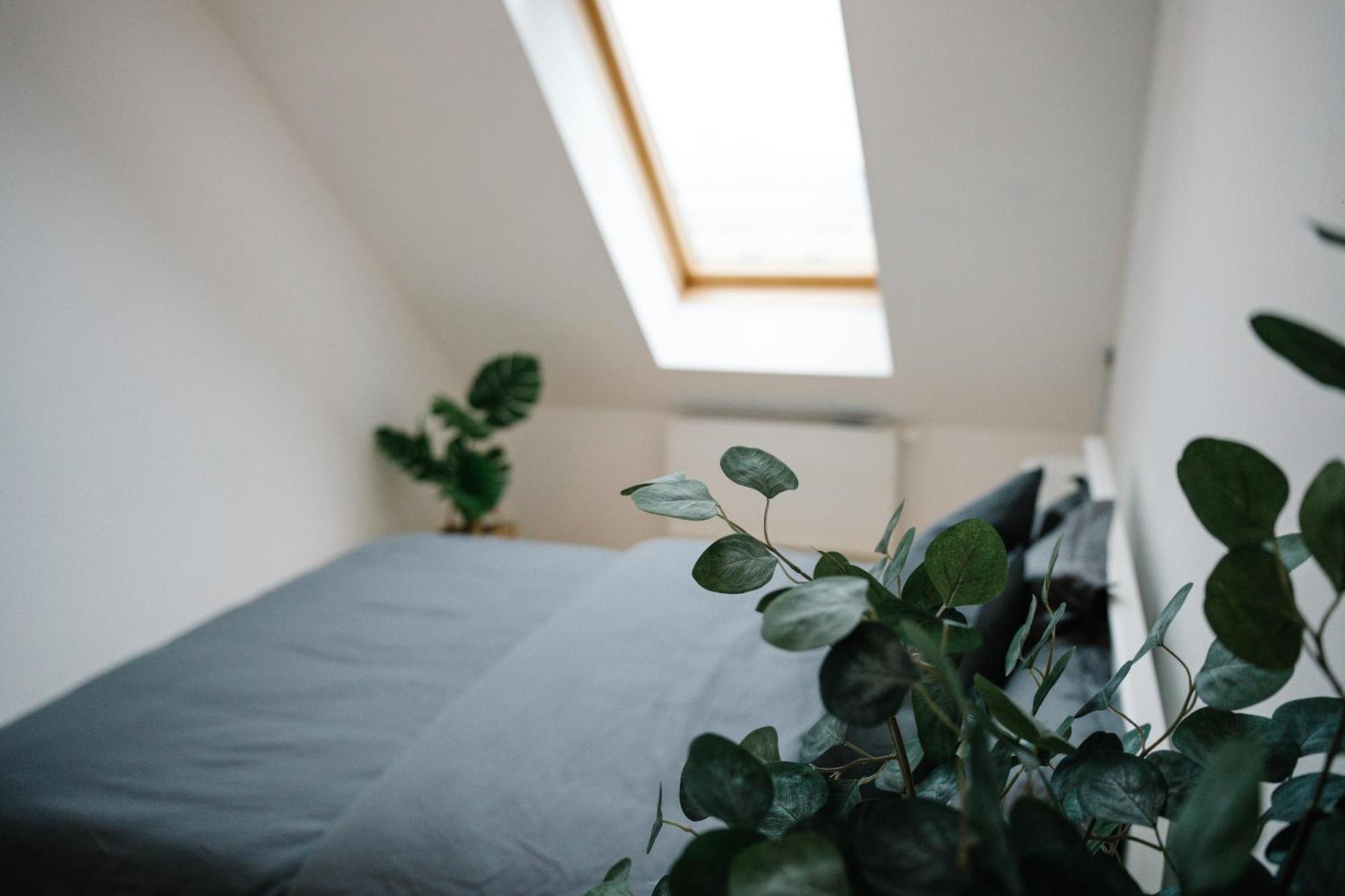 110Qm, 4 Bedrooms, Near Schoenbrunn - Axara Housing Osw 33 ウィーン エクステリア 写真